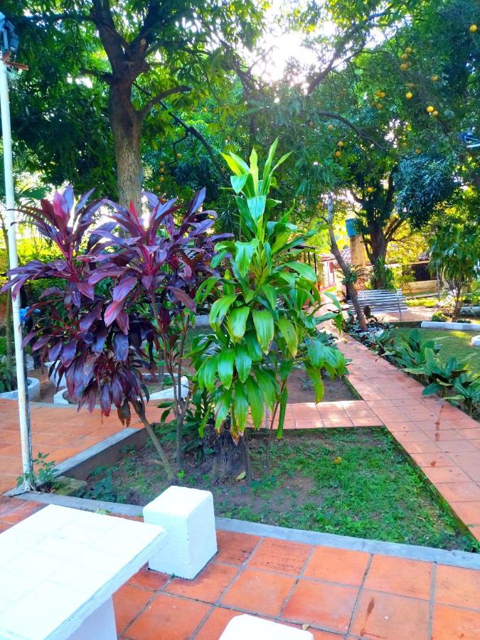 Hotel La Aparesida Areguá المظهر الخارجي الصورة